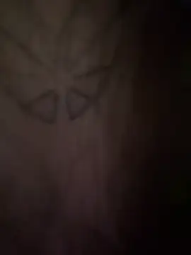 FroggyAnna live