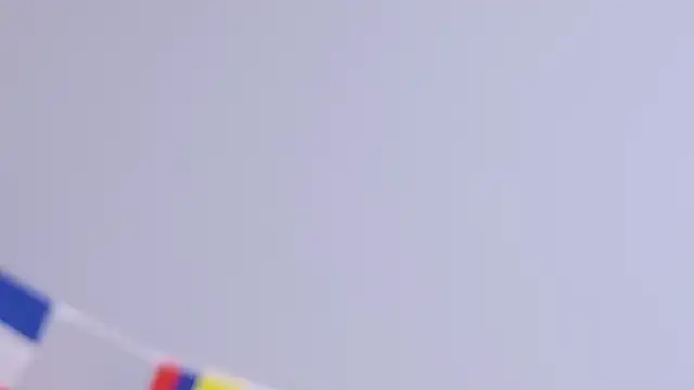 LeenaBrown live