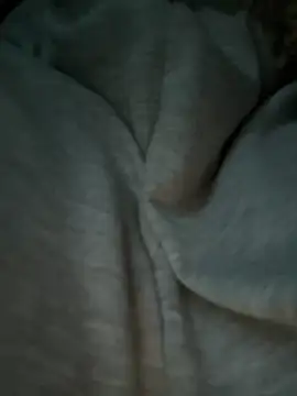 bambi_lu live