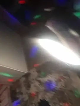 AfroditaESP live