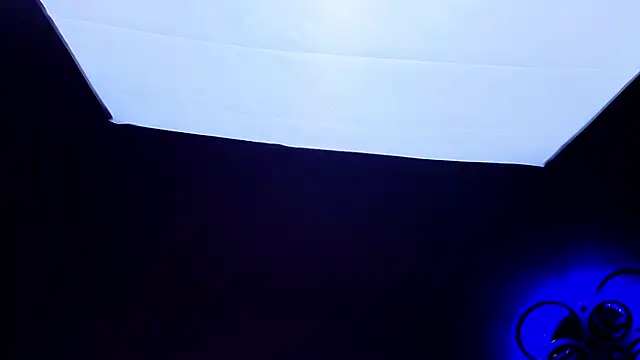 PerryKitty live
