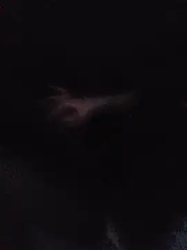 Hottiesophie live