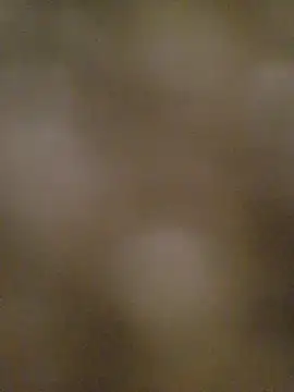 Husospuncika_90 live