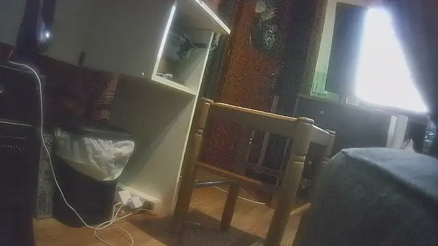 Dileilei live