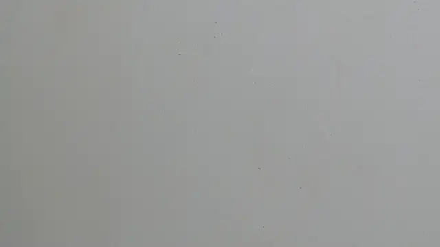 erikaskinny18 live