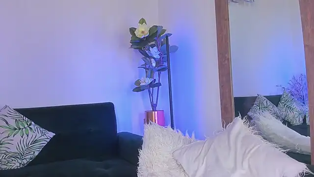 artemis_nyx live