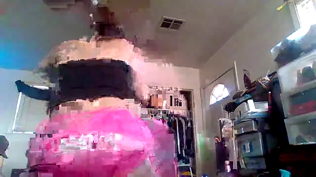 RexMinnie live