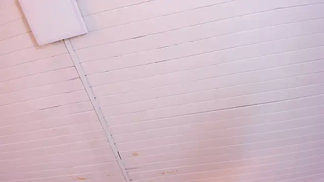 BellaBoobs_ live