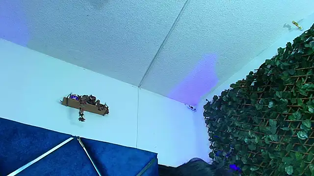 AlexaRousse4u live