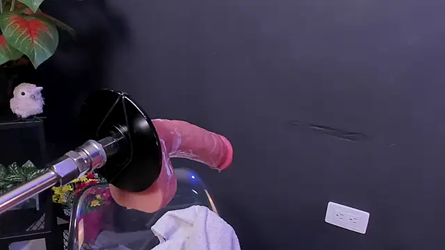 Amy_whittee live