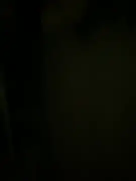 Eloise_aksnes live