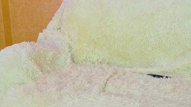 SweeetMia profile