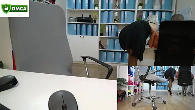 secret-office live