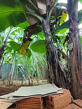 Hivi_09 profile