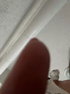 eveangelll live
