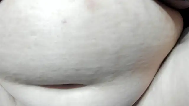 Alondra_zaaens live