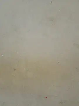 Teri_lella live