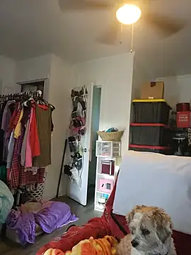SexyNikki6969 live