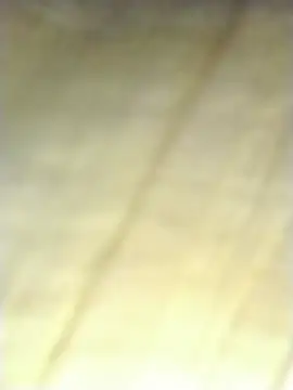 Sea-ice live