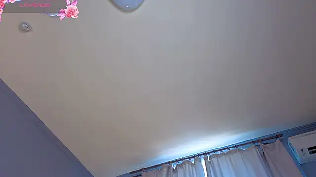 LollaStich live