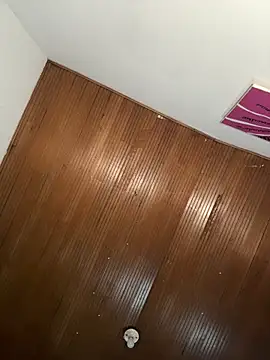 zenda__ live