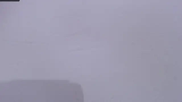 skinnysofia18 live