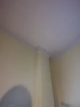 LeylaKnox live