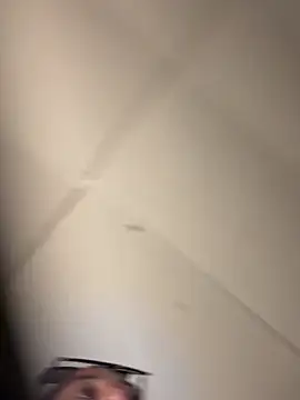 BunnyYT live