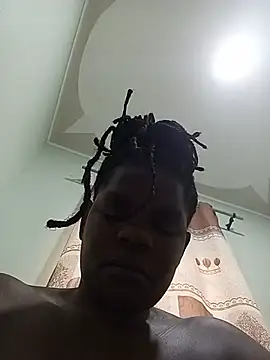 mem254 profile