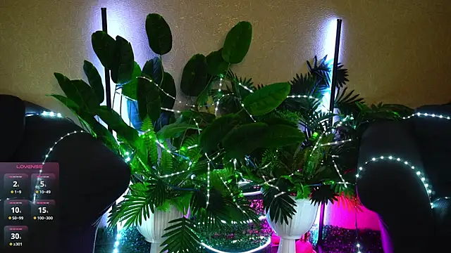Viola_Becker live