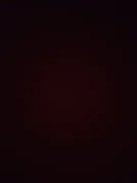 pricilanunes live