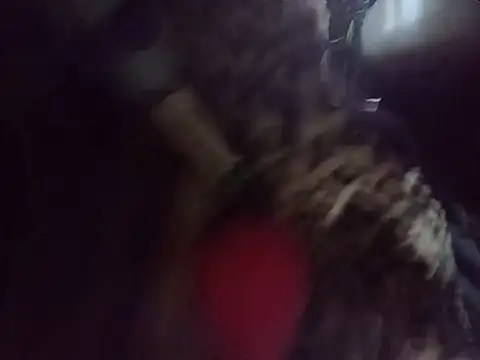 Trublonde3 live