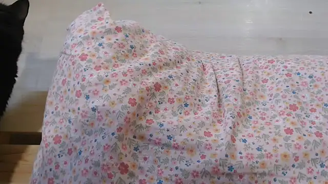 CRISTIIYNA36 live