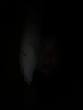 Thu_yaha live