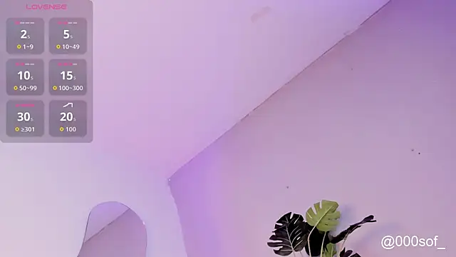 Foxy_katt live