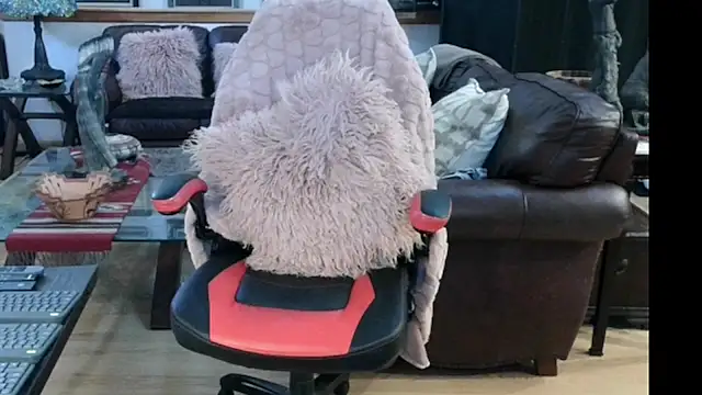 littlepistol01 live