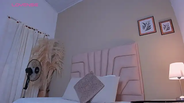 nova_silk live