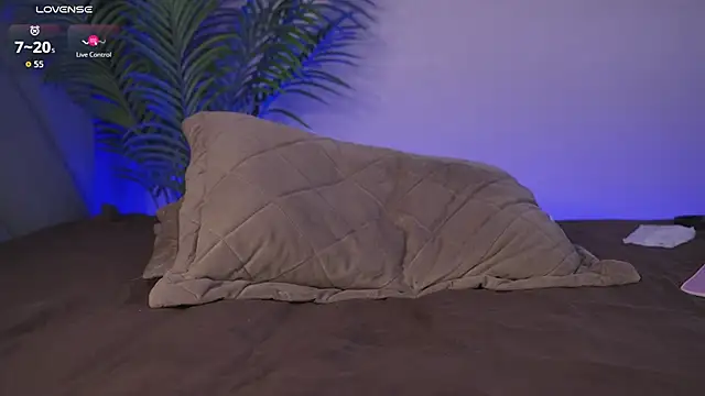 karollovea live