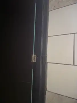 Stefany_LS live