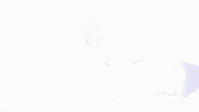 KatieBell live