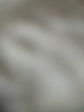 Arabella_Fraser18 live