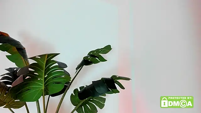 lovesweetash live