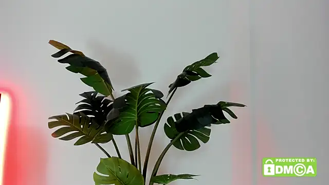 lovesweetash profile