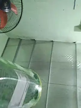 Logii_x live