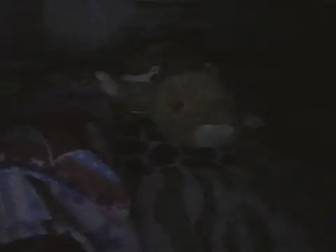 kristall1234 live