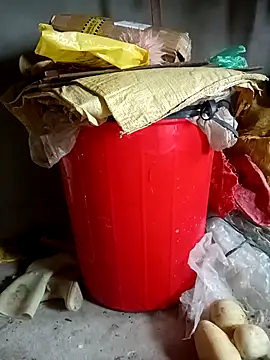 jenene99 live