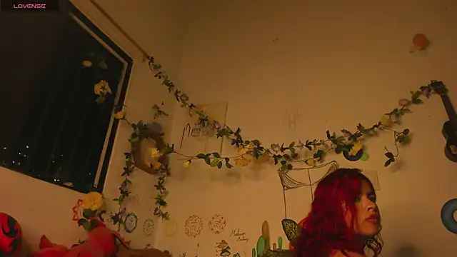 AuroraWishes live