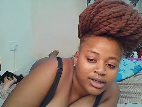 African_boobies live