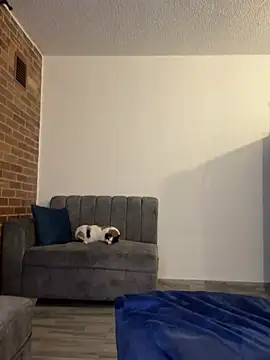 Sofi_Collinss live