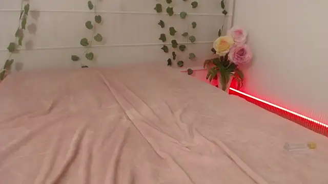 vecandy live